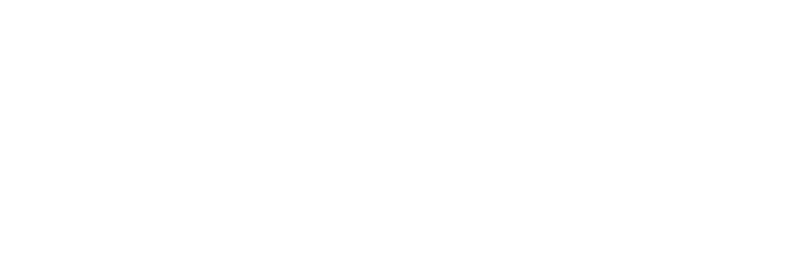 Ponce Research Institute Logo