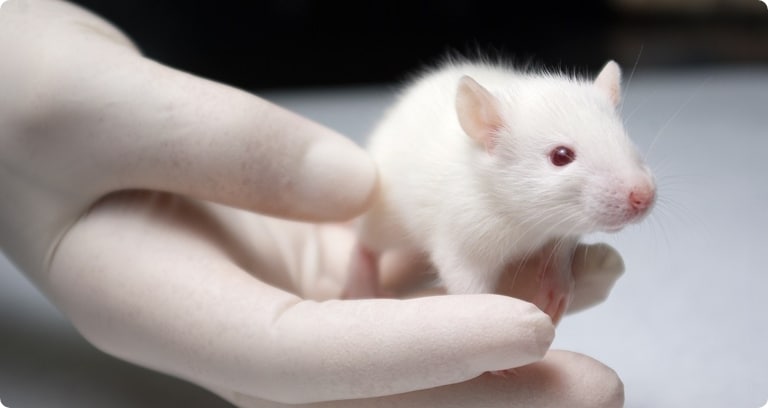 image of a doctor holding a mouse